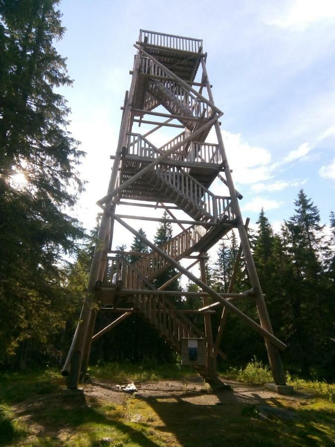 Metsorinne Kotila Exterior photo